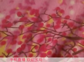 小丸子的玫瑰花主播照片