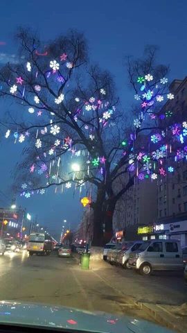 ♥╭以♥诺♥╭主播照片