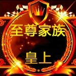 至尊♛皇上海报