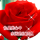 相依☞莫忘的主播照片