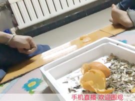 陌陌欢迎凉音女神回归主播照片