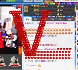 云南十日游主播照片