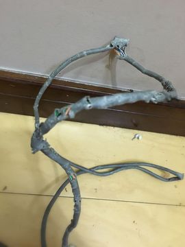 关键我是大米呀主播照片