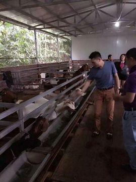 0左左右右0主播照片