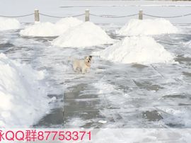 泓一户外主播照片