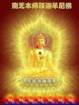 太对了6主播照片