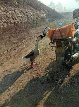 回忆总想哭，封心主播照片