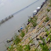 微信_沧海一涑