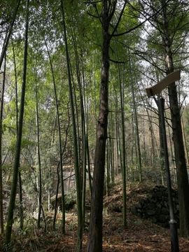 无病！主播照片