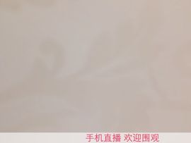 小红帽AI主播照片