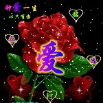 狼子心情的头像