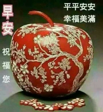 小小树5的主播照片