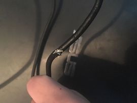 靠实力把自己养胖主播照片