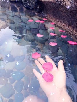 伊人红妆……回来了主播照片