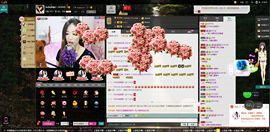 D.L✿美一天有你✿主播照片