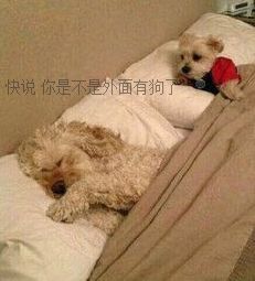 ❥❥小阳光Beita主播照片