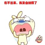 哆哆饃饃的头像