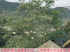 😱……主播照片