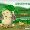家的港湾9d