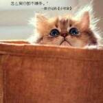 擦擦擦辣椒海报