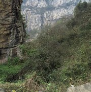 ♤坪少♤海报