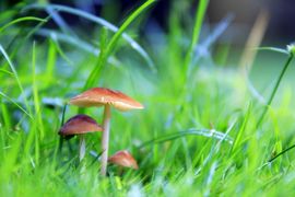 真言叔叔-相约在怒江主播照片