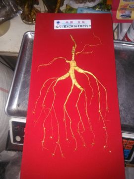 过往皆是浮云主播照片