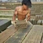 奮斗的笨鳥的頭像