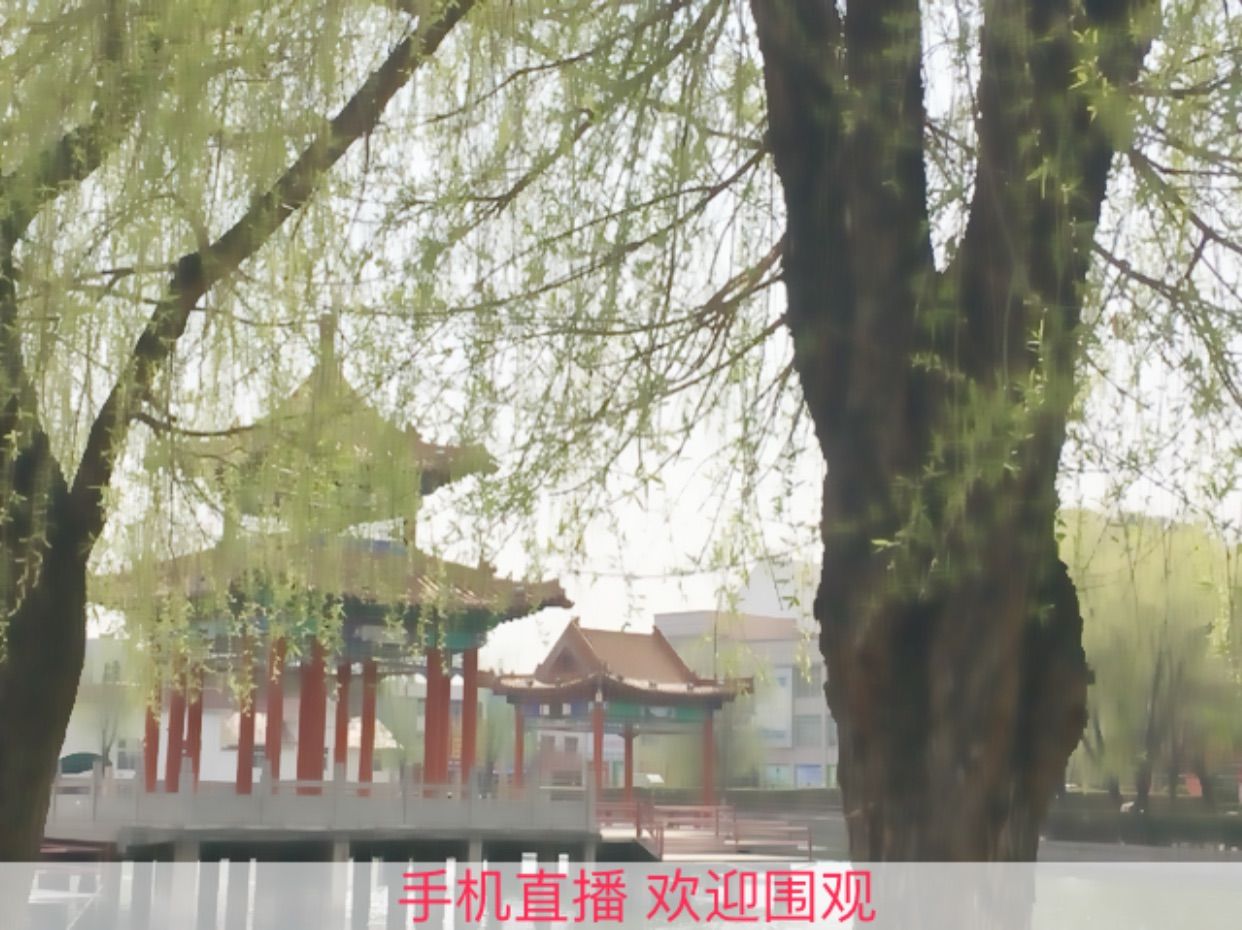 小龙恩@简简单单主播照片