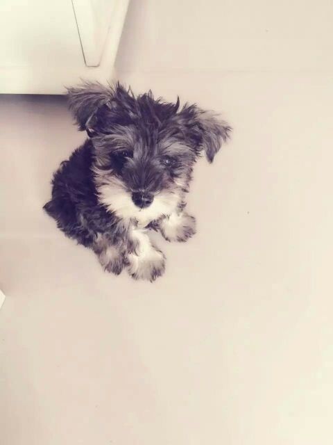 ℳ๓₯㎕哈尼ヅ的主播照片