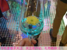 😱……主播照片