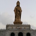 X追寻自由的梦想海报