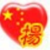 杨大大$