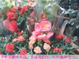 😱……主播照片
