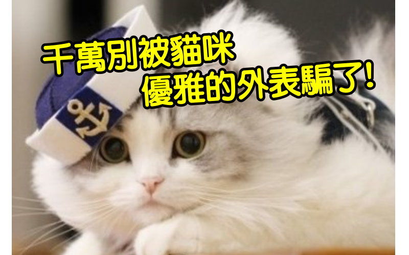 主播有狐臭主播照片