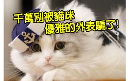 主播有狐臭主播照片