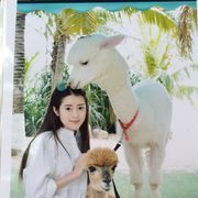 饿狼~~~