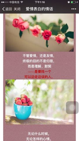 你的冰心回来了主播照片