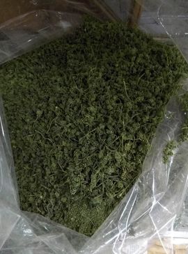 过往皆是浮云主播照片