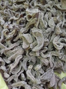 过往皆是浮云主播照片