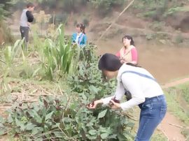 小花儿♥主播照片