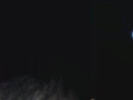 一只呆萌的小可爱主播照片