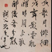 我舞⚔影⚔凌乱