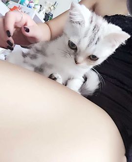 会飞的帽子主播照片