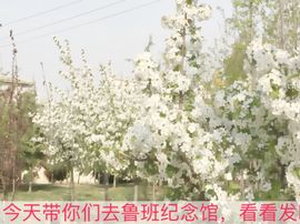 小龙恩@简简单单主播照片