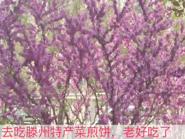 小龙恩@简简单单主播照片