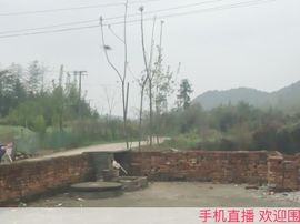 121琼楼玉宇主播照片