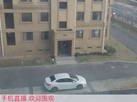 大脸.贺杨总圣王主宰主播照片
