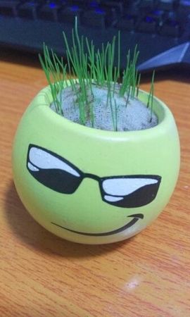 ∩▂∩胖仙儿♪主播照片
