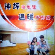 通榆神辉电供暖